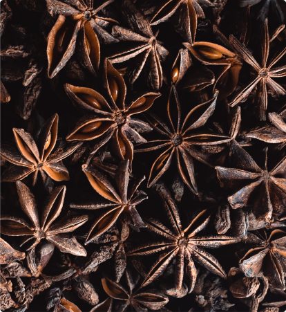 Participant bg acomo